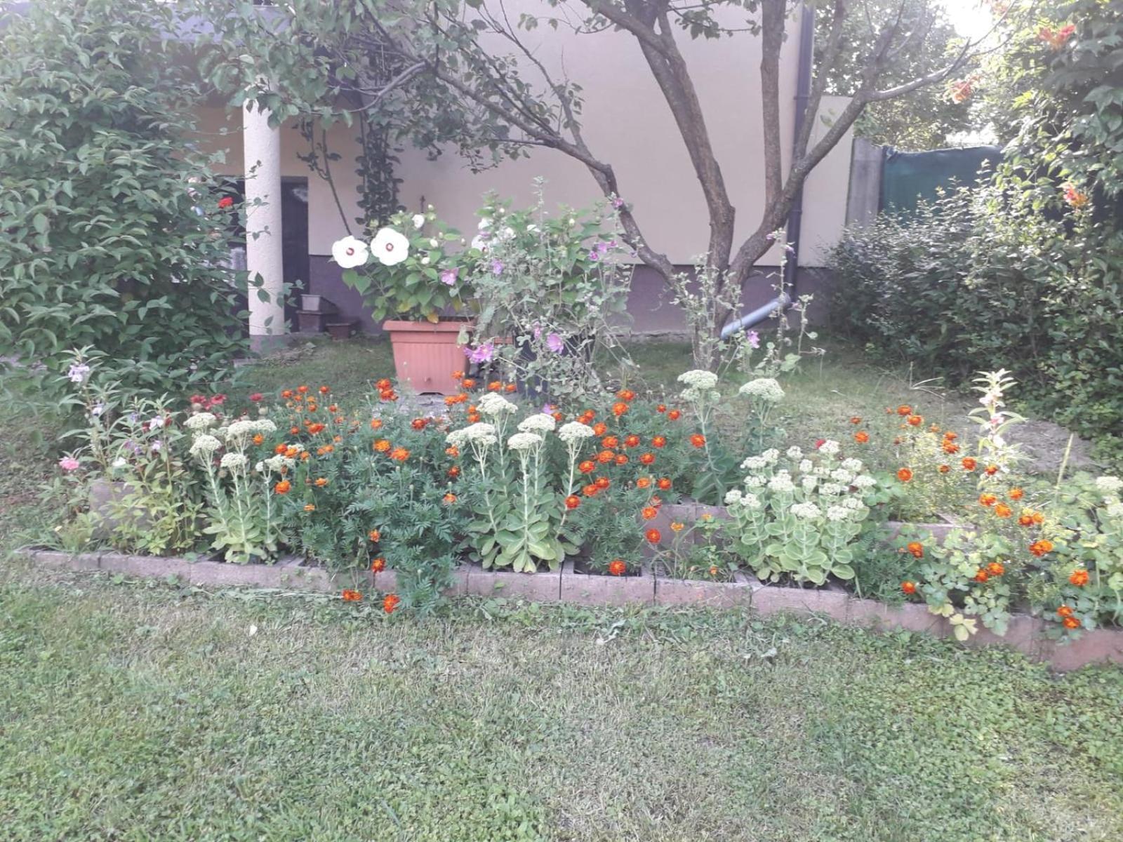 Kuca Za Odmor Bajtica Villa Jesenovec Exterior photo